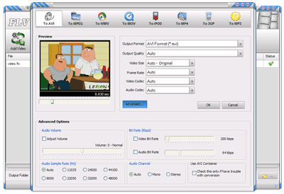 free flv video converter software